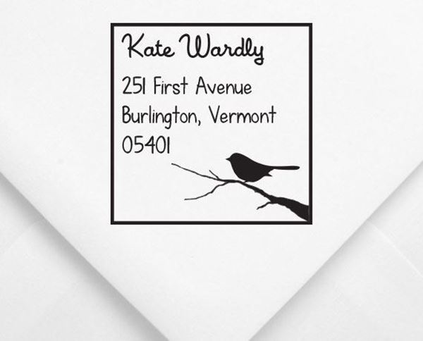 Picture of Kate